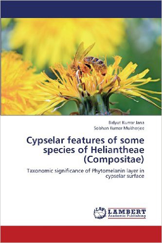 CYPSELAR FEATURES OF SOME SPECIES OF HELIANTHEAE(COMPOSITAE)