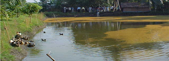 https://newversion.klyuniv.ac.in/app/uploads/2022/03/img2-1.jpg