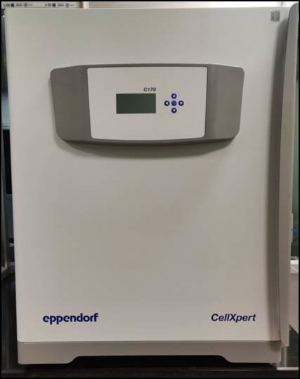 CO2 Incubator