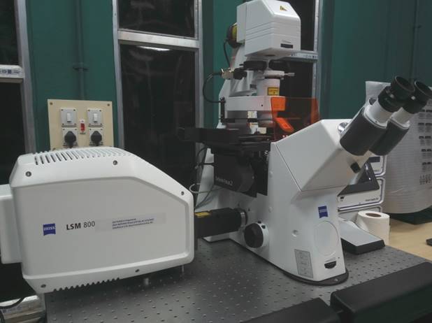 Confocal Microscope