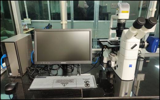 Inverted Fluorescence Microscope