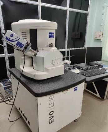 Scanning Electron Microscopy
